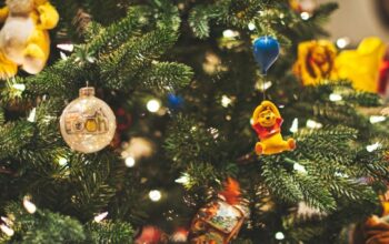 Christmas trees and your sense of personality: what’s more?