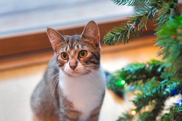 decorating-your-8-foot-artificial-christmas-tree-like-a-pro