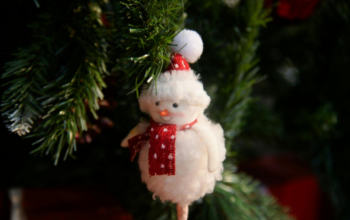 Christmas Tree Clearance & Decorations